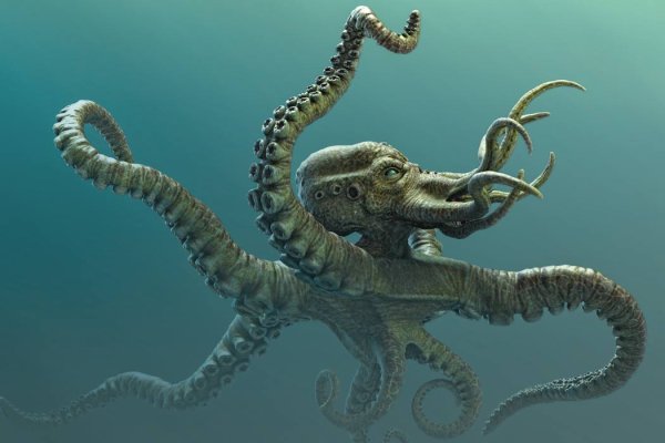 Kraken ссылка зеркало