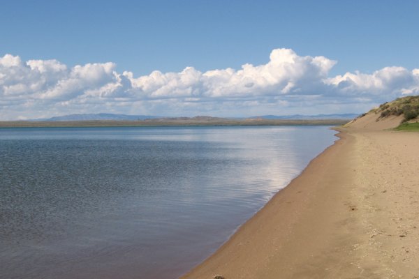 Кракен шоп даркнет