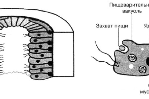 Кракен даркнет рекламы