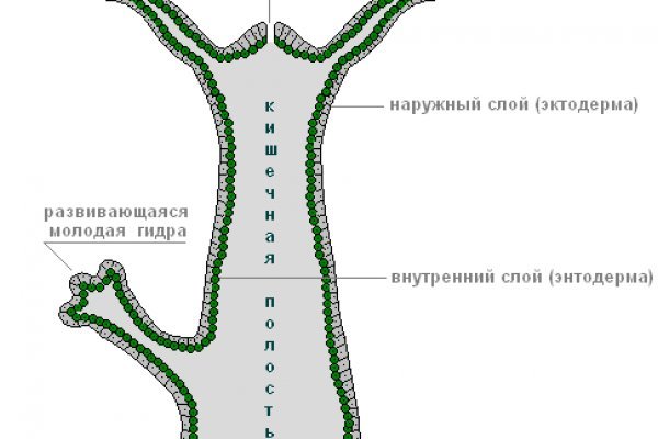 Кракен правила площадки