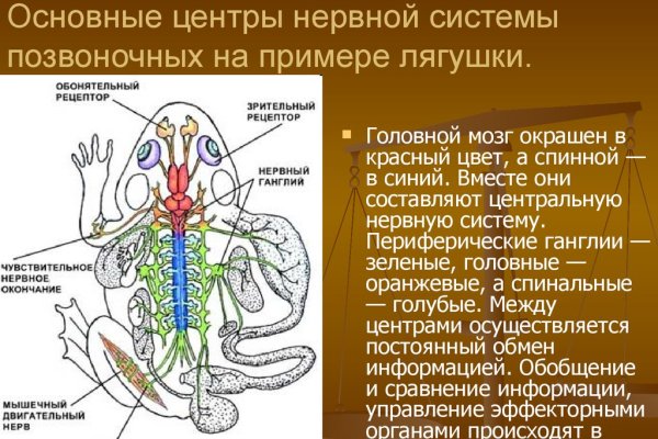 Кракен ссылка германия